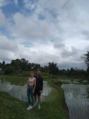 Alessio - Rice fields