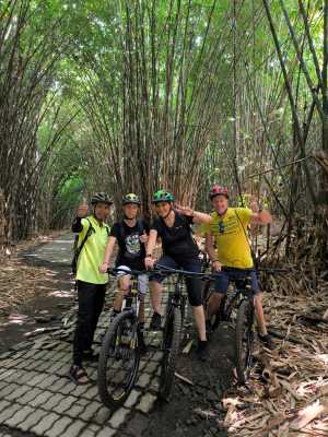 Claudia - Bamboo forest
