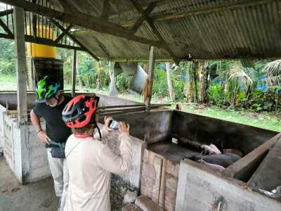 Fransesca - Visit pig farming