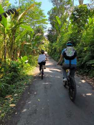 Ilaria - Village road