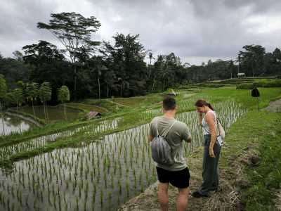 Linda - Terraced rice paddies