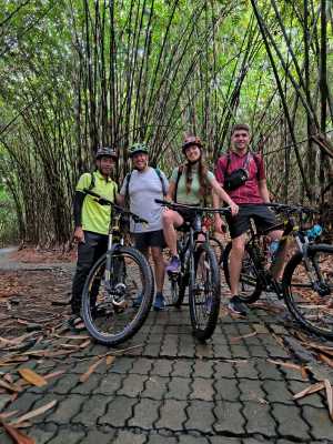 Roberto - Bamboo forest