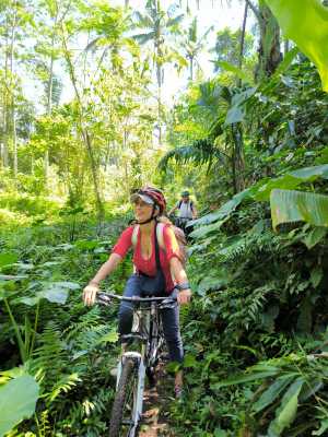 Mountain biking in lush jungle