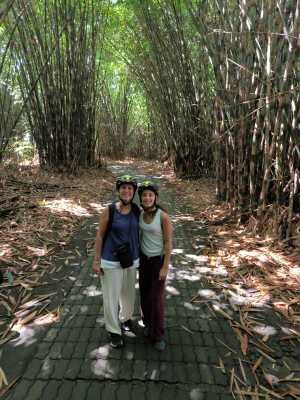 Inside the Bamboo forest
