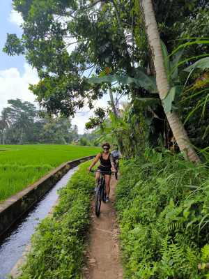 Rice paddies cycling tracks