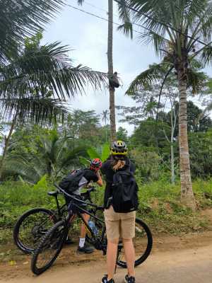 Watching local people climbing a coconut tree