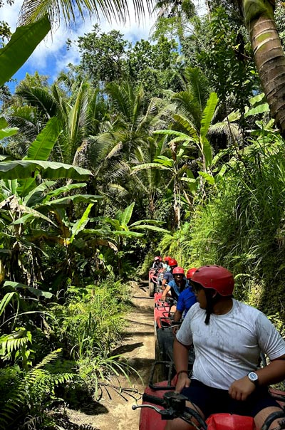 Dense banana vegetations