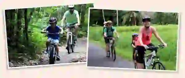 Bali’s countryside cycling trips (bamboo forest & rice paddies)