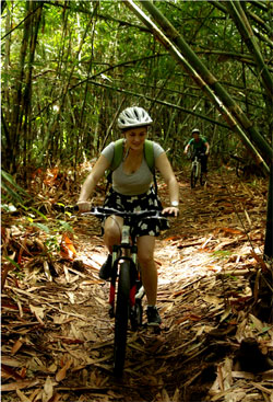 Bamboo forest bike ride