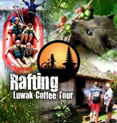 rafting + Luwak coffee tour