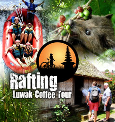 rafting + Luwak coffee tour