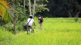 bali countryside cycling tour
