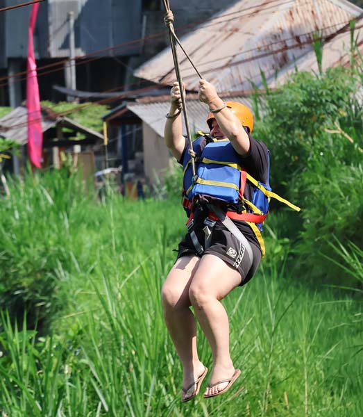 flying fox over rice fields