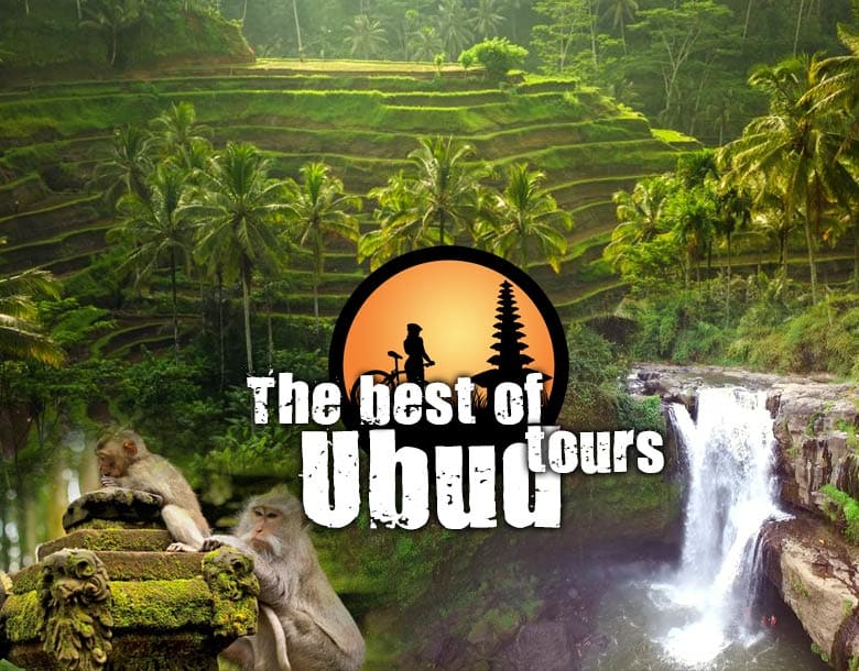 The Best of Ubud Private Tour